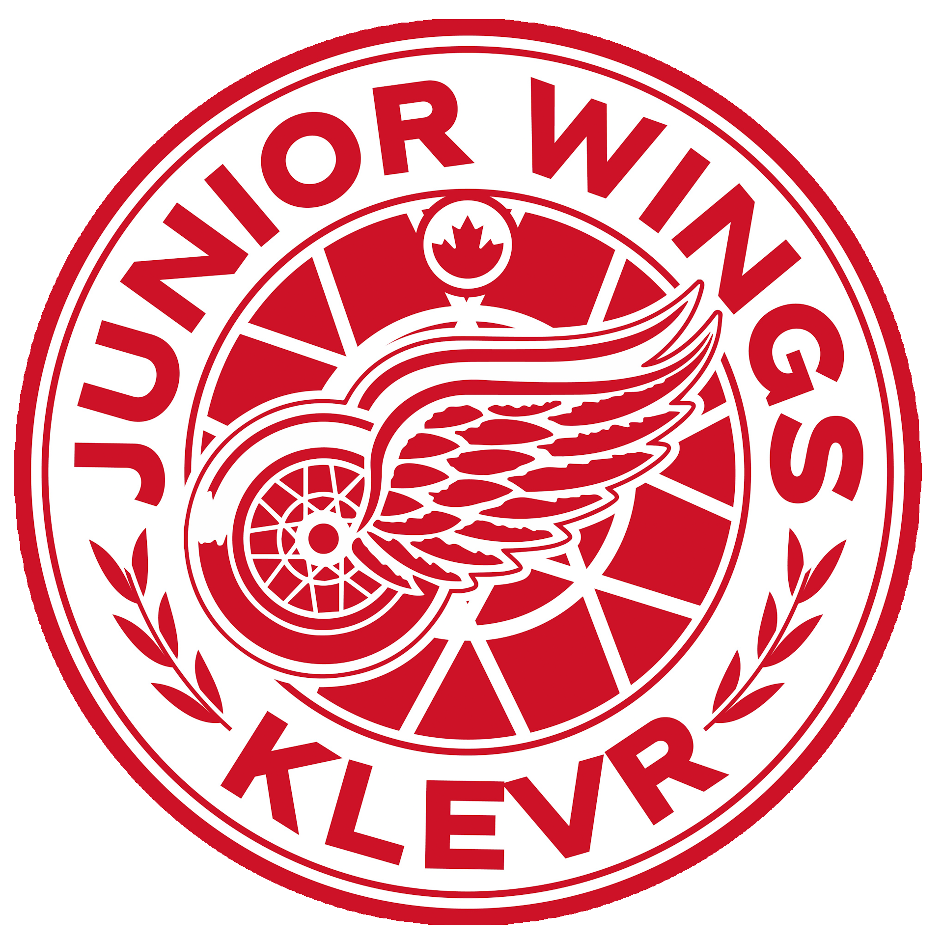 Junior wings.  edited